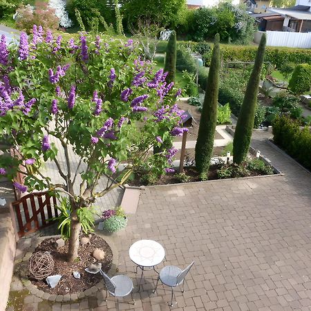 זסבאך אם קייזרשטוהל Ferienwohnung Schillinger מראה חיצוני תמונה