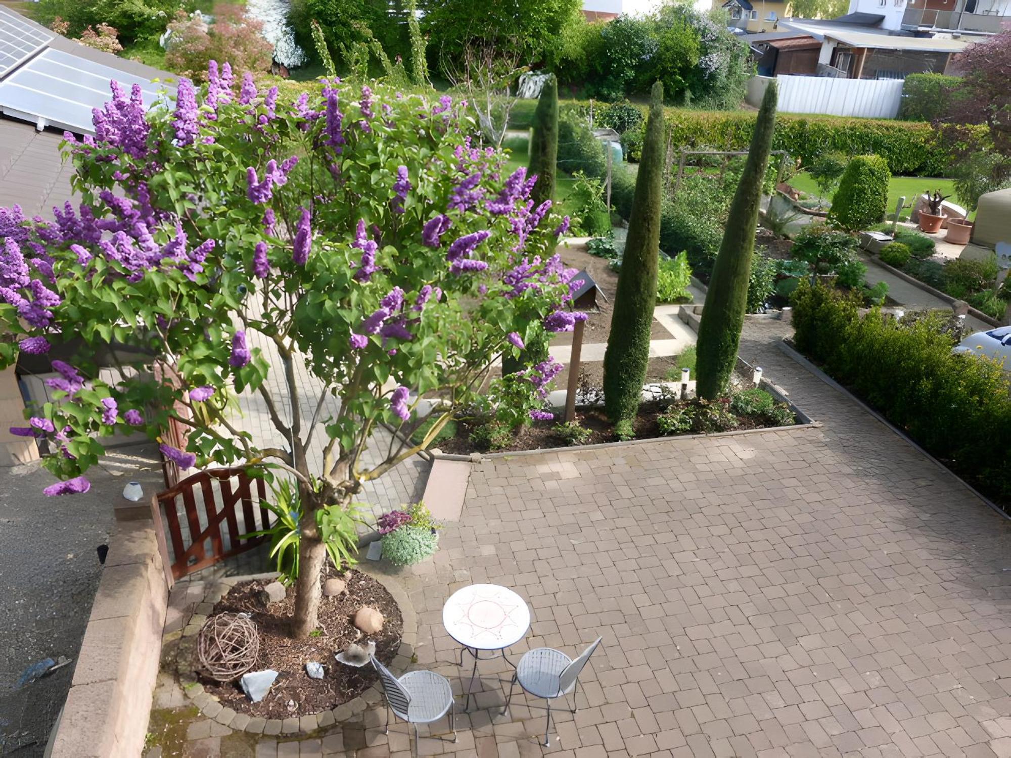 זסבאך אם קייזרשטוהל Ferienwohnung Schillinger מראה חיצוני תמונה